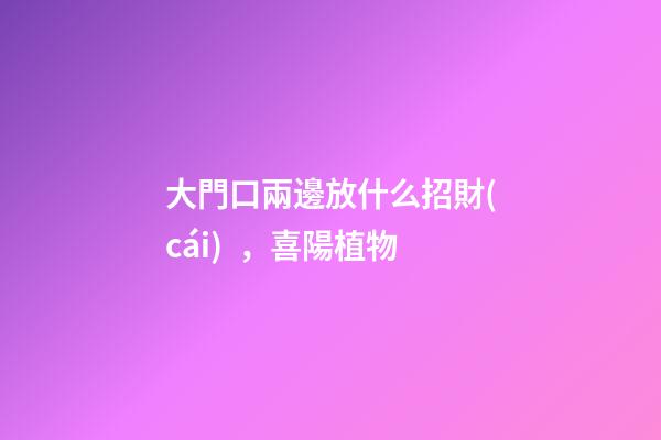 大門口兩邊放什么招財(cái)，喜陽植物